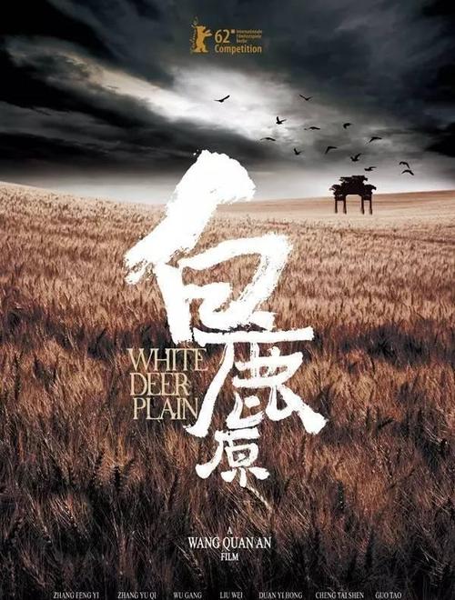 买个假智利护照